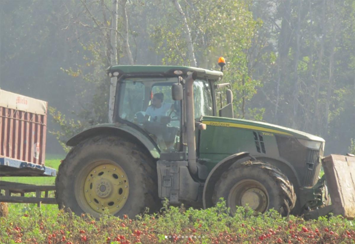 Cos per caso mi sono ritrovata una Agro Influencer